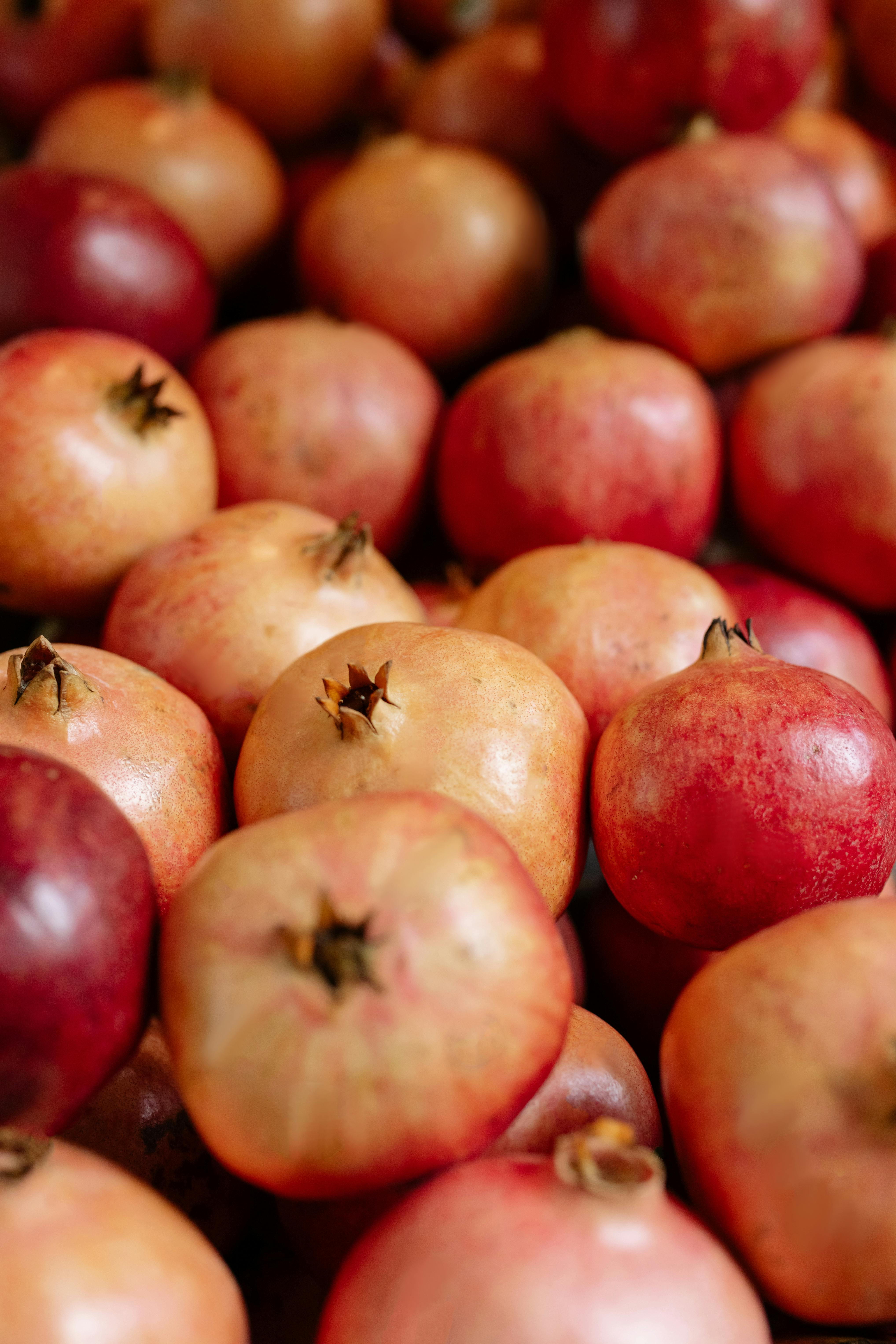 Health benefits for small business owners and employees