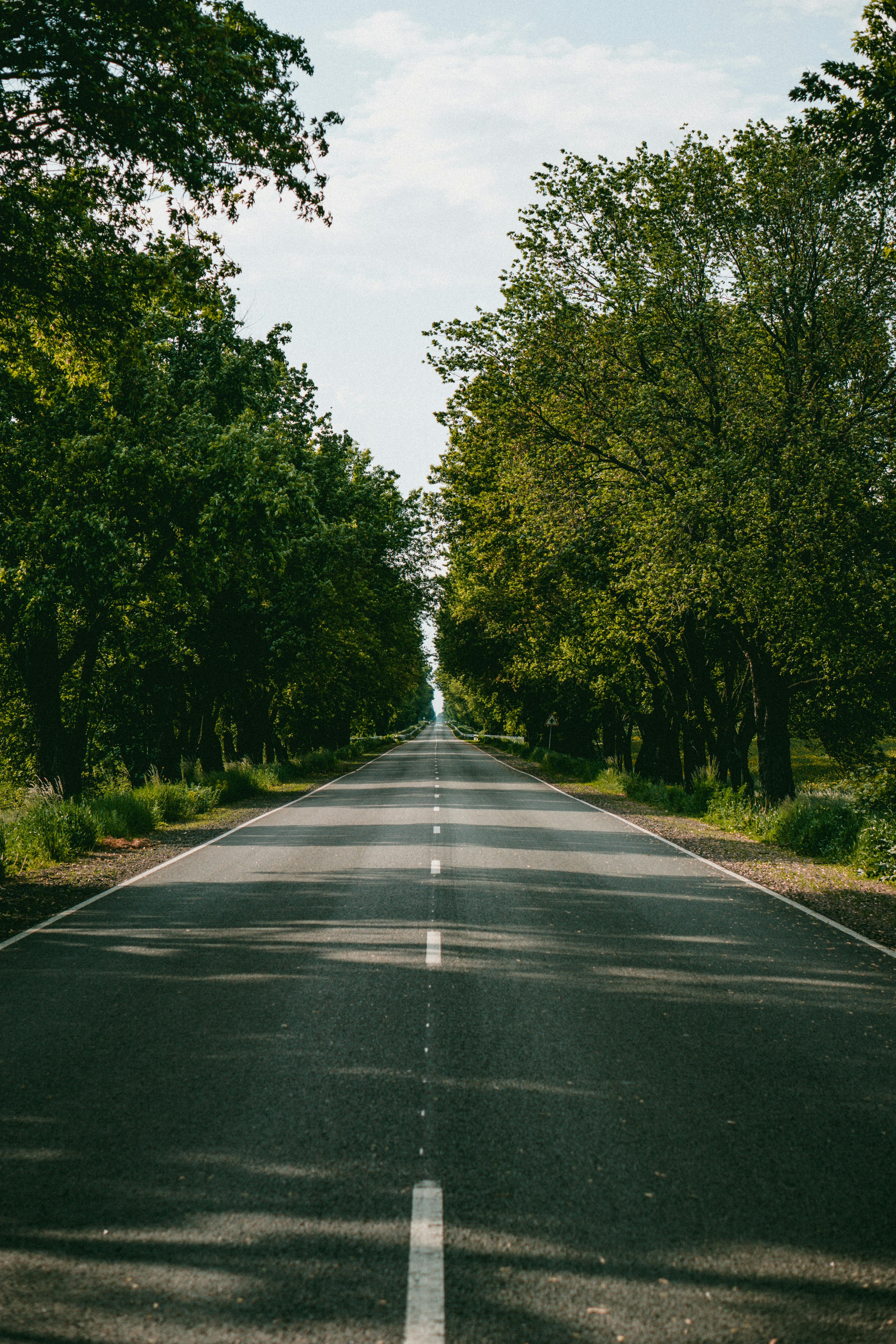 Choosing a trustee